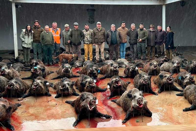 Resultado Montería Encomienda del Mochuelo 2024 Montrimago Sur